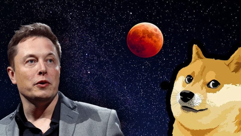 Elon Musk Geri Döndü Ama Dogecoin Tepkisiz Kaldı